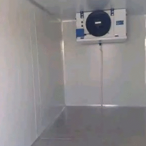 Mobile Freezer 2.4m X 1.6m